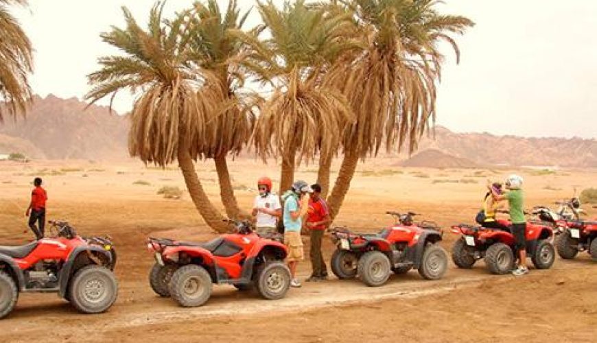 Super Quad Safari